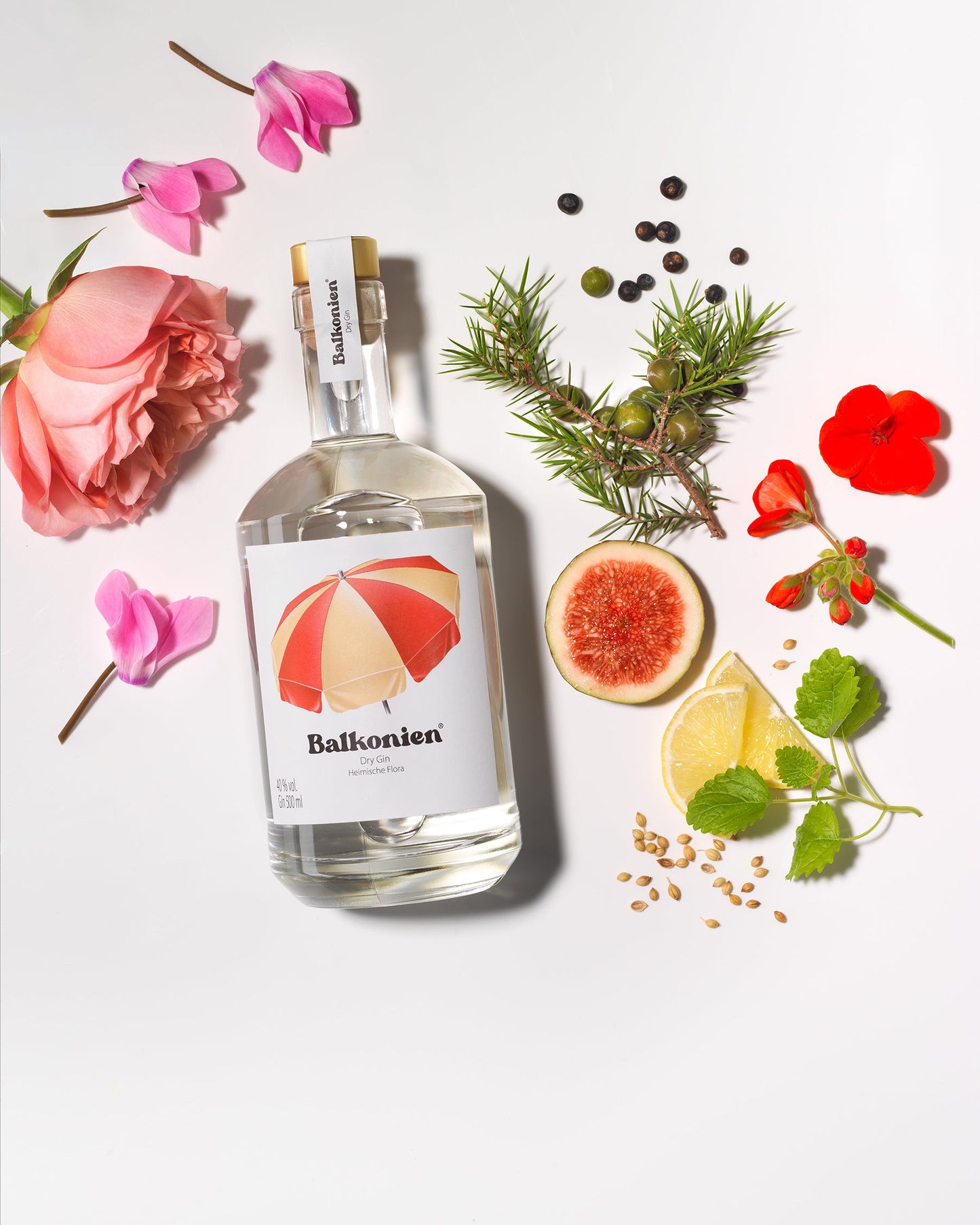 Gin Botanicals