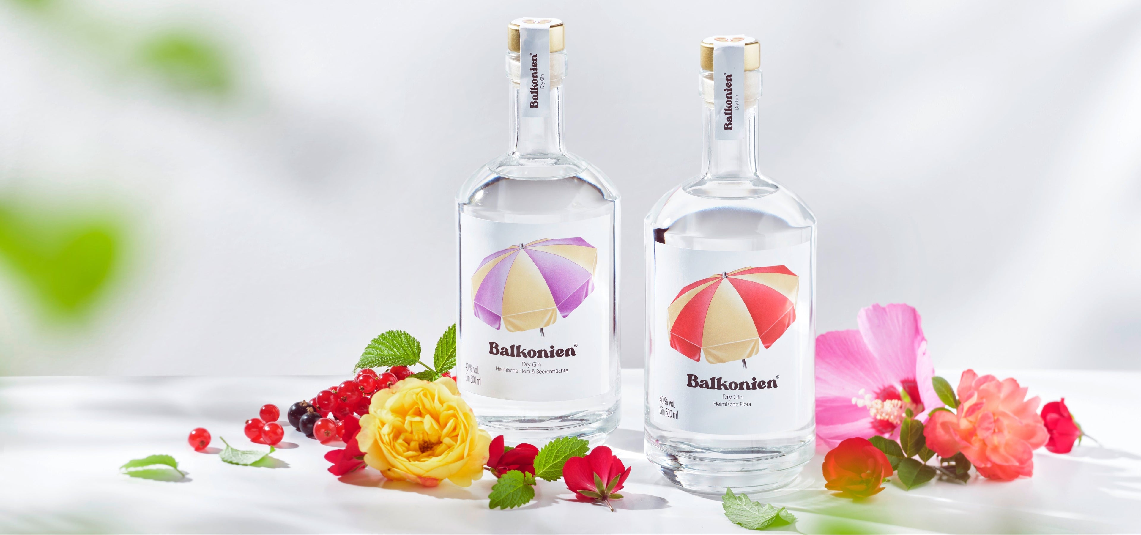 Zwei Flaschen Balkonien Gin mit rot-gelbem und lila-gelbem Sonnenschirm-Logo, umgeben von gelben, rosa und roten Blüten und Beeren.